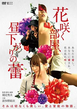 文艺家庭高清电影半山灯火海报